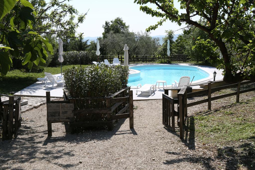 La Locanda Del Picchio Country House Morro dʼOro Exterior foto