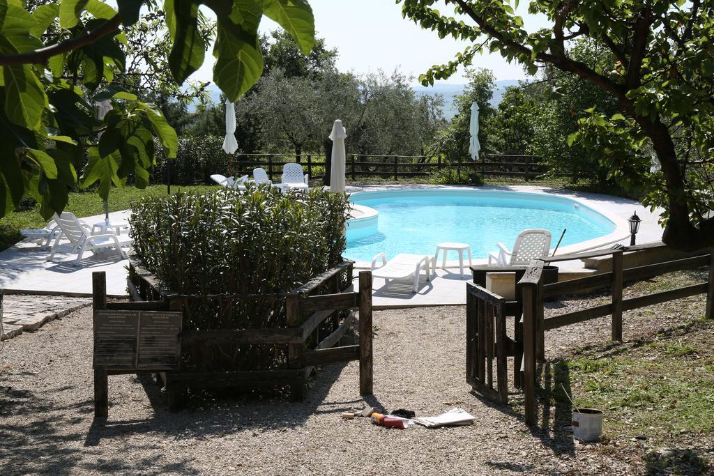 La Locanda Del Picchio Country House Morro dʼOro Exterior foto